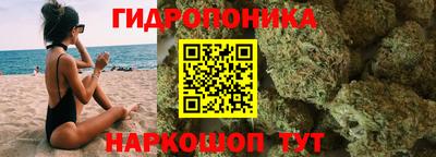 спиды Краснодар
