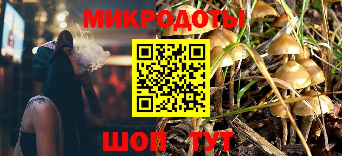 Каспийск  Галлюциногенные грибы Psilocybine cubensis  Вход с VPN 