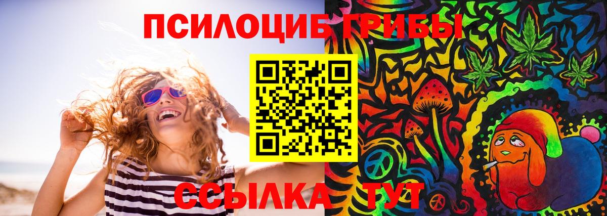 Псилоцибиновые грибы Psilocybe Каспийск